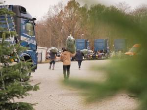 hofweihnacht-2024-anton-schick-gmbh-03_original