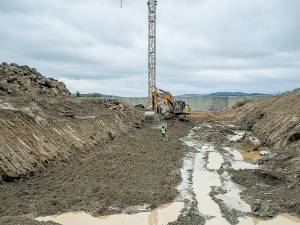 shared_image_1-2_original