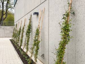 cbs-tuebingen-fassade06_original