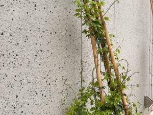 cbs-tuebingen-fertigteil-beton-struktur-nahaufnahme-02_original